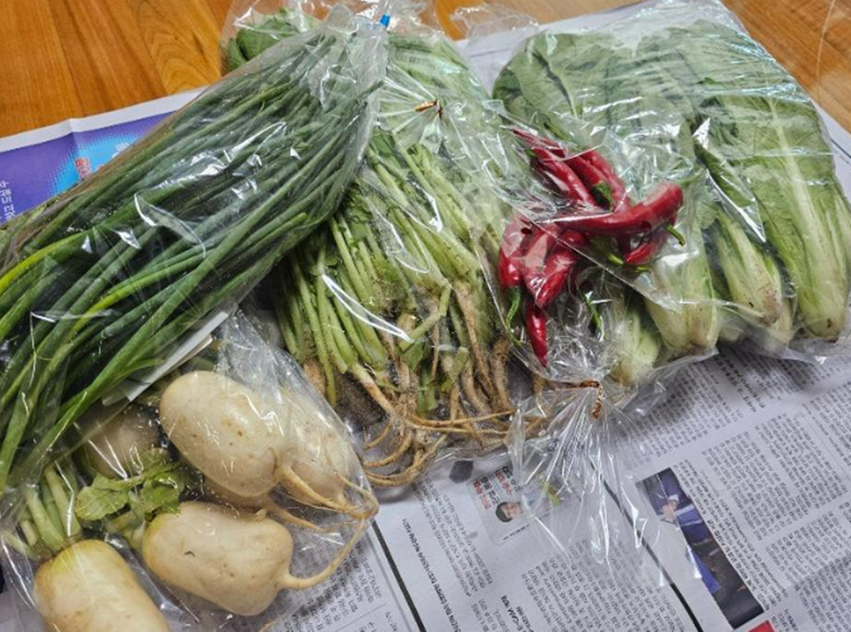 사진 : 보배드림