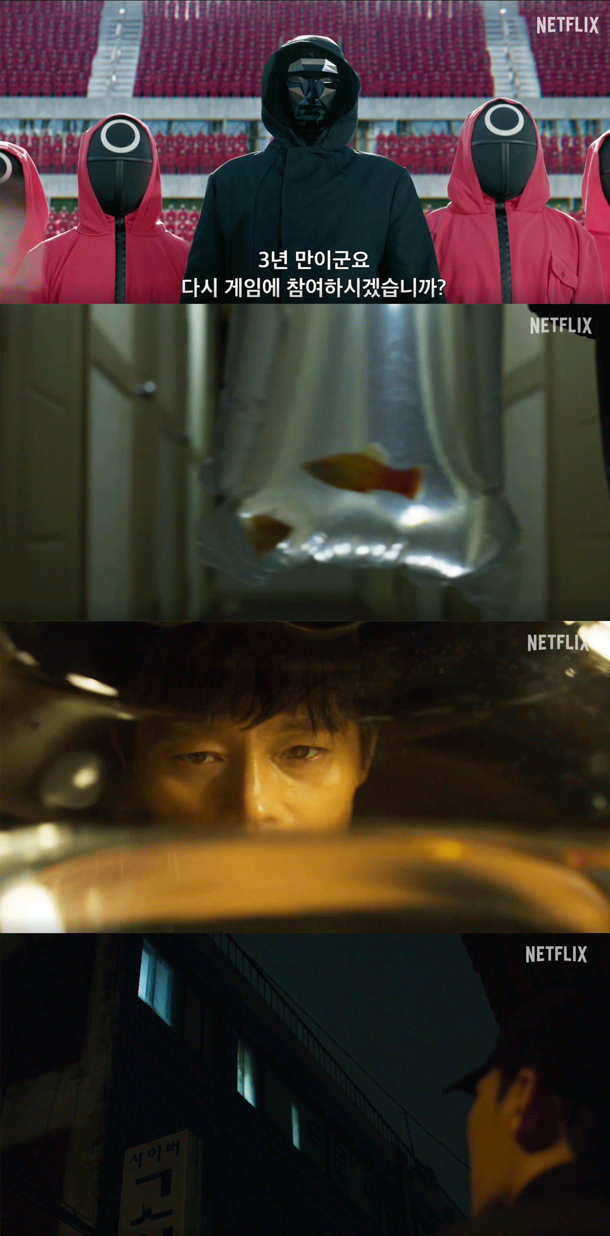 넷플릭스 영상 캡처