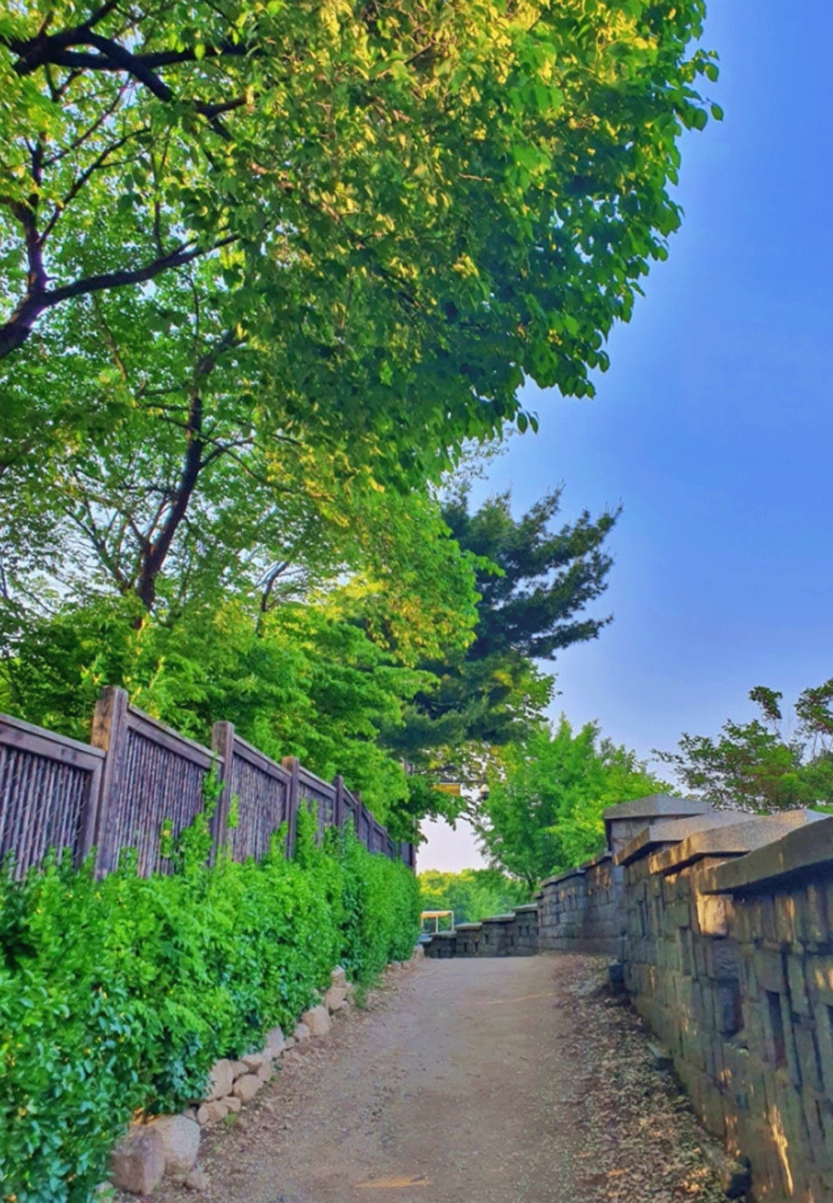 온라인 커뮤니티