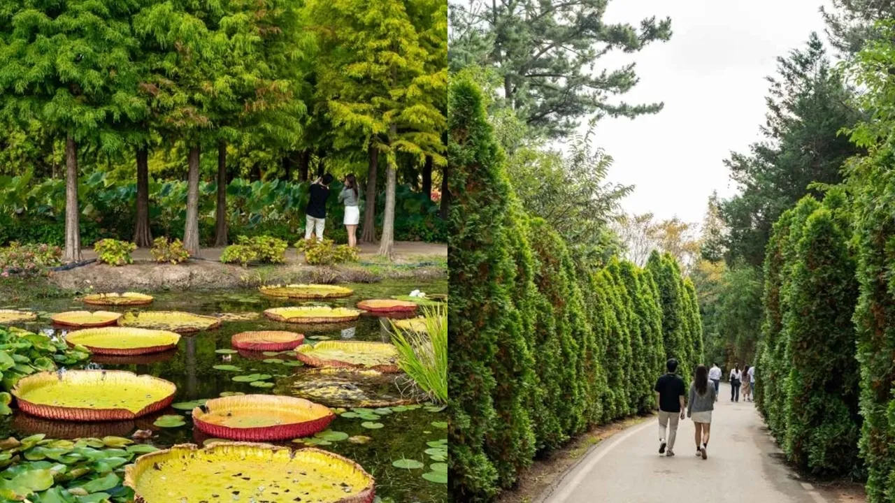 태안 청산수목원 / 출처 : 한국관광공사