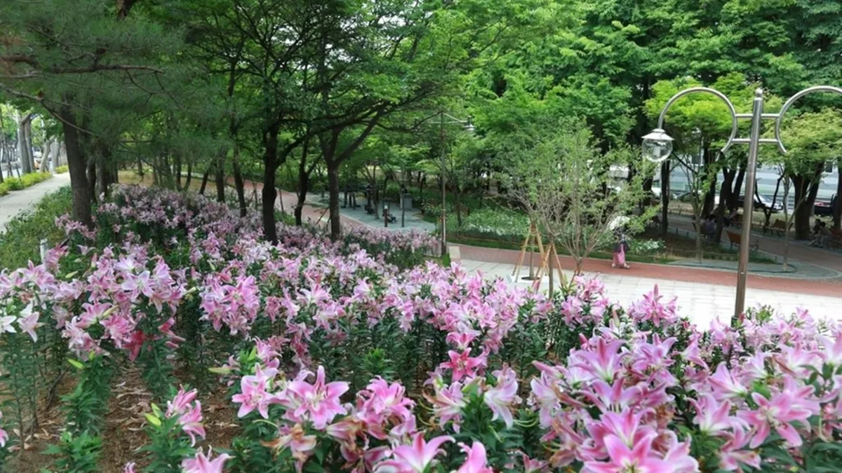 대구 서구 그린웨이