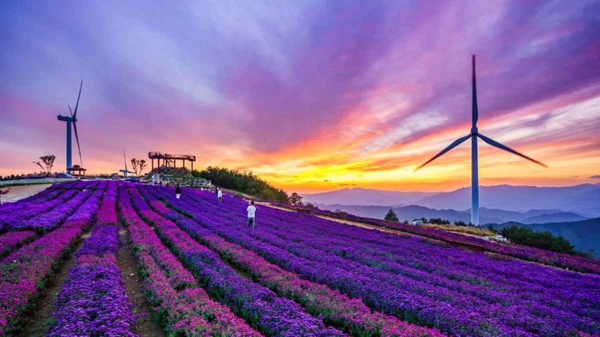 거창 별바람언덕