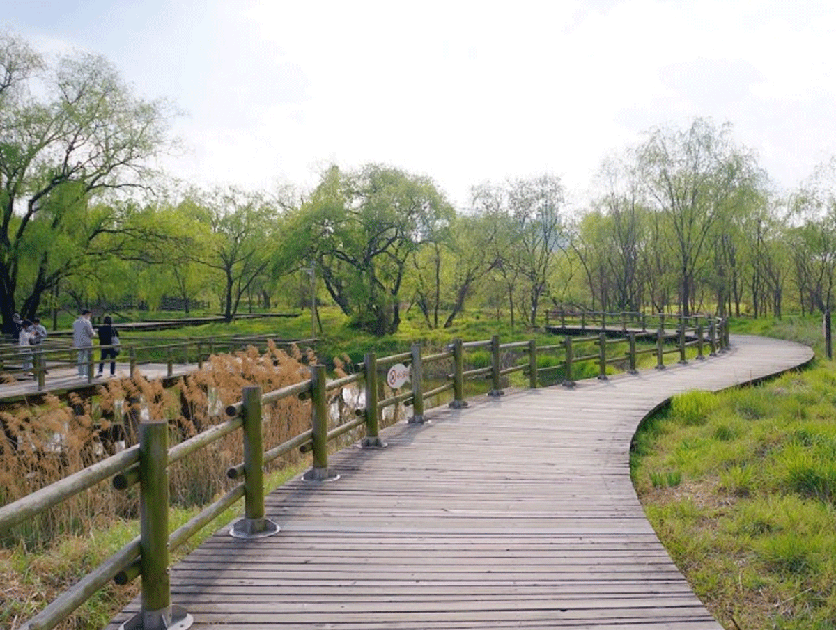 여의도 샛강생태공원/ 출처 : 온라인 커뮤니티