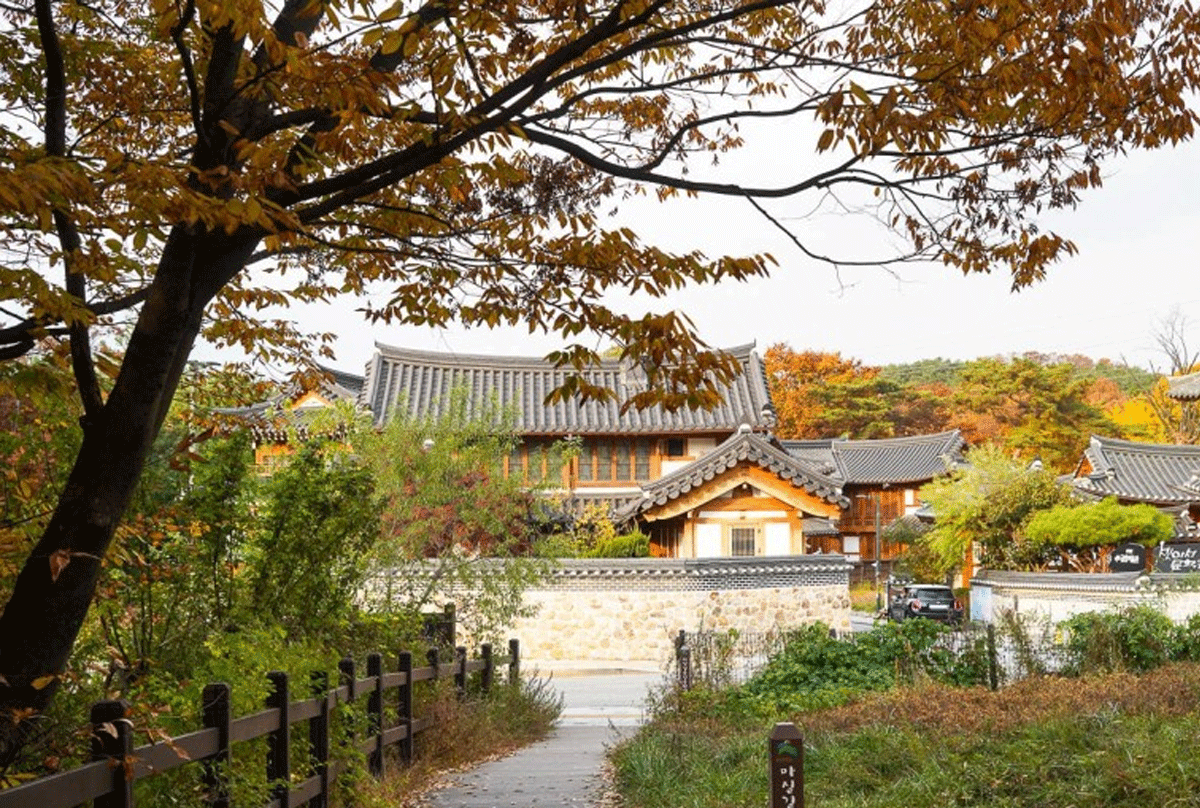 은평한옥마을/ 출처 : 온라인 커뮤니티