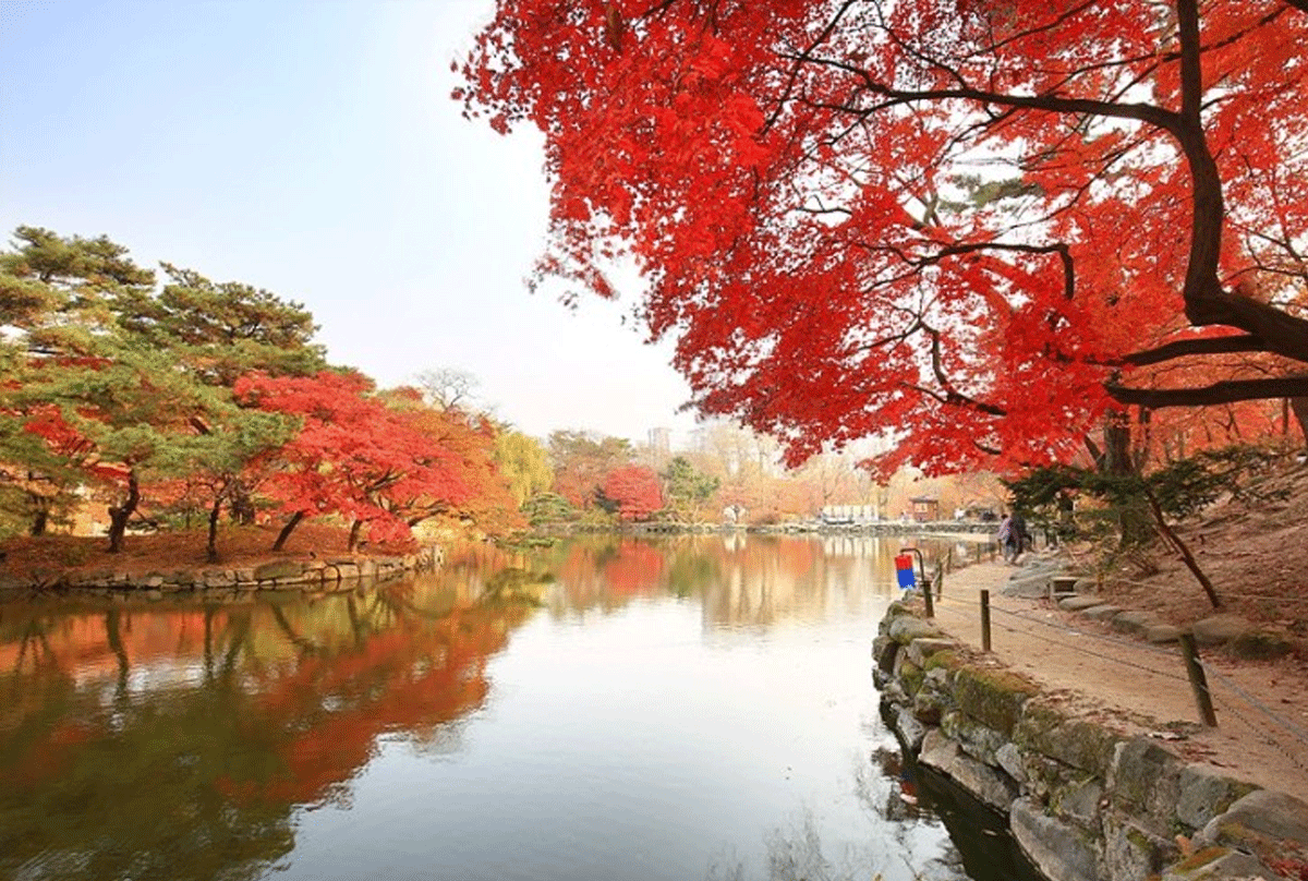 창경궁 / 출처 : 온라인 커뮤니티