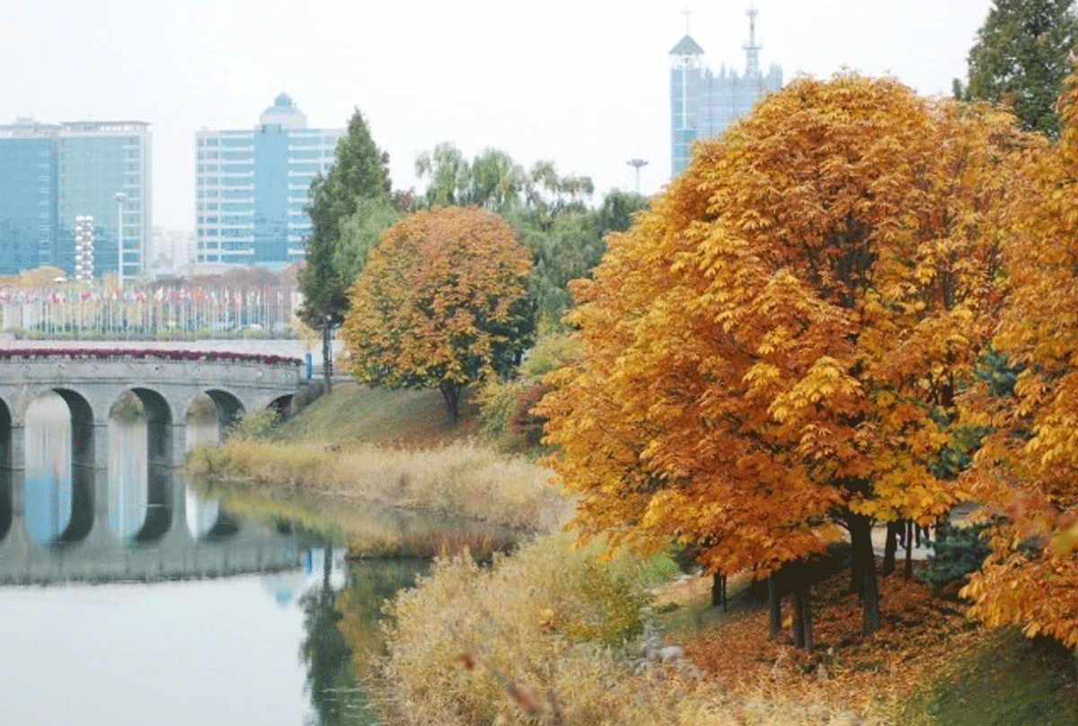 송파구 올림픽공원/ 출처 : 온라인 커뮤니티