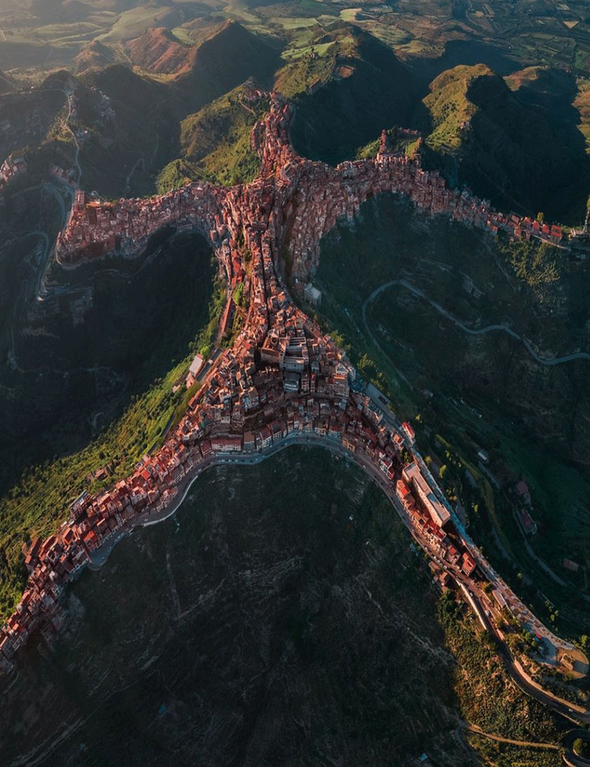 센추리페 / 출처 : 온라인 커뮤니티
