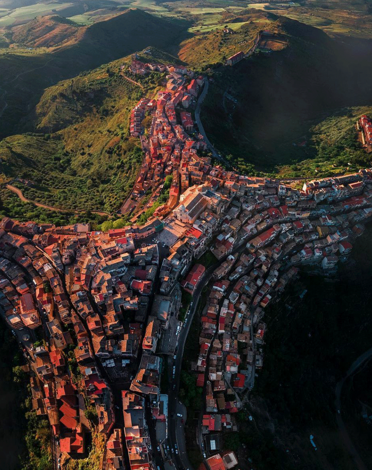 센추리페 / 출처 : 온라인 커뮤니티