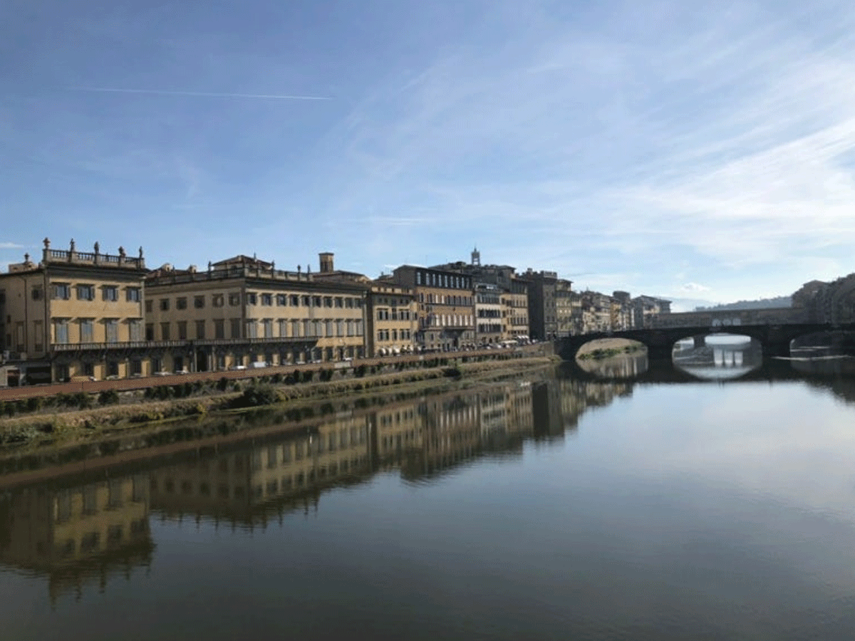 센추리페 / 출처 : 온라인 커뮤니티