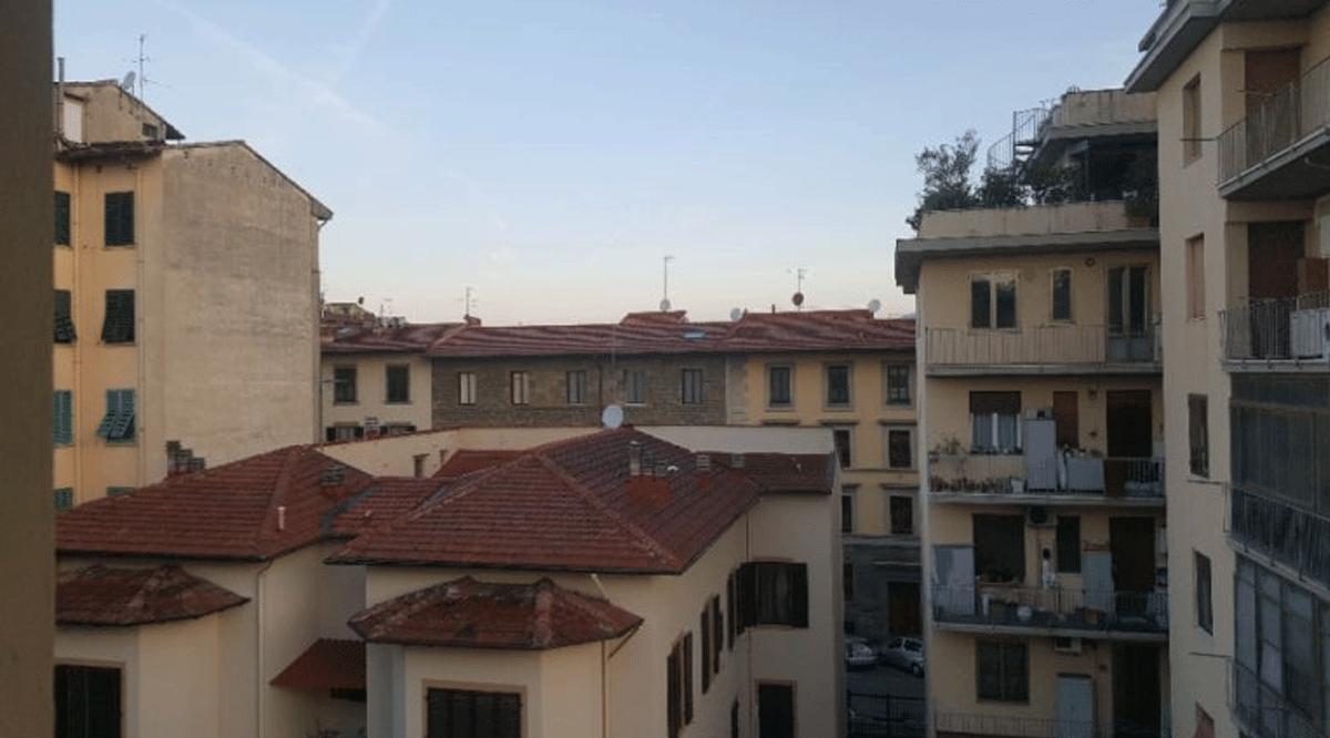 센추리페 / 출처 : 온라인 커뮤니티