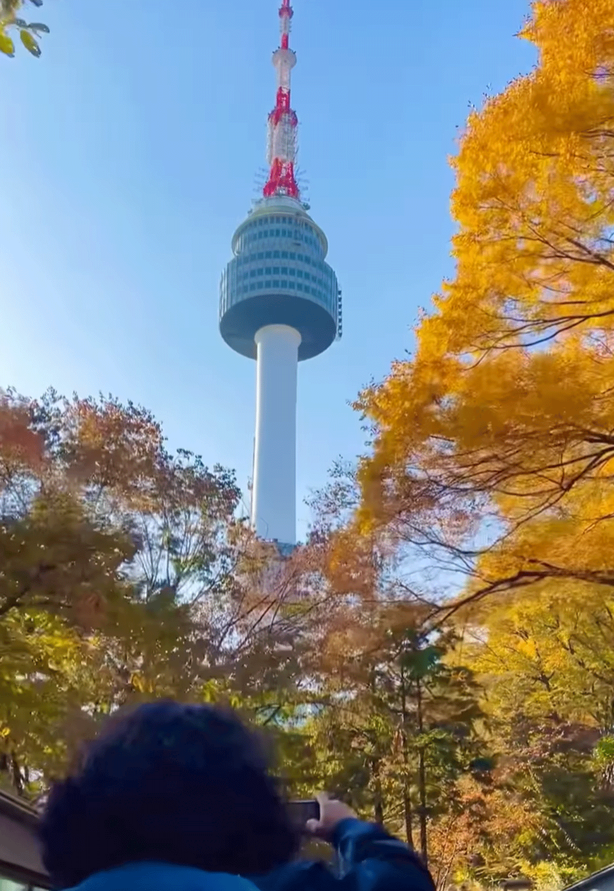 타이거 버스 / 출처 :인스타 seoultigerbus_official