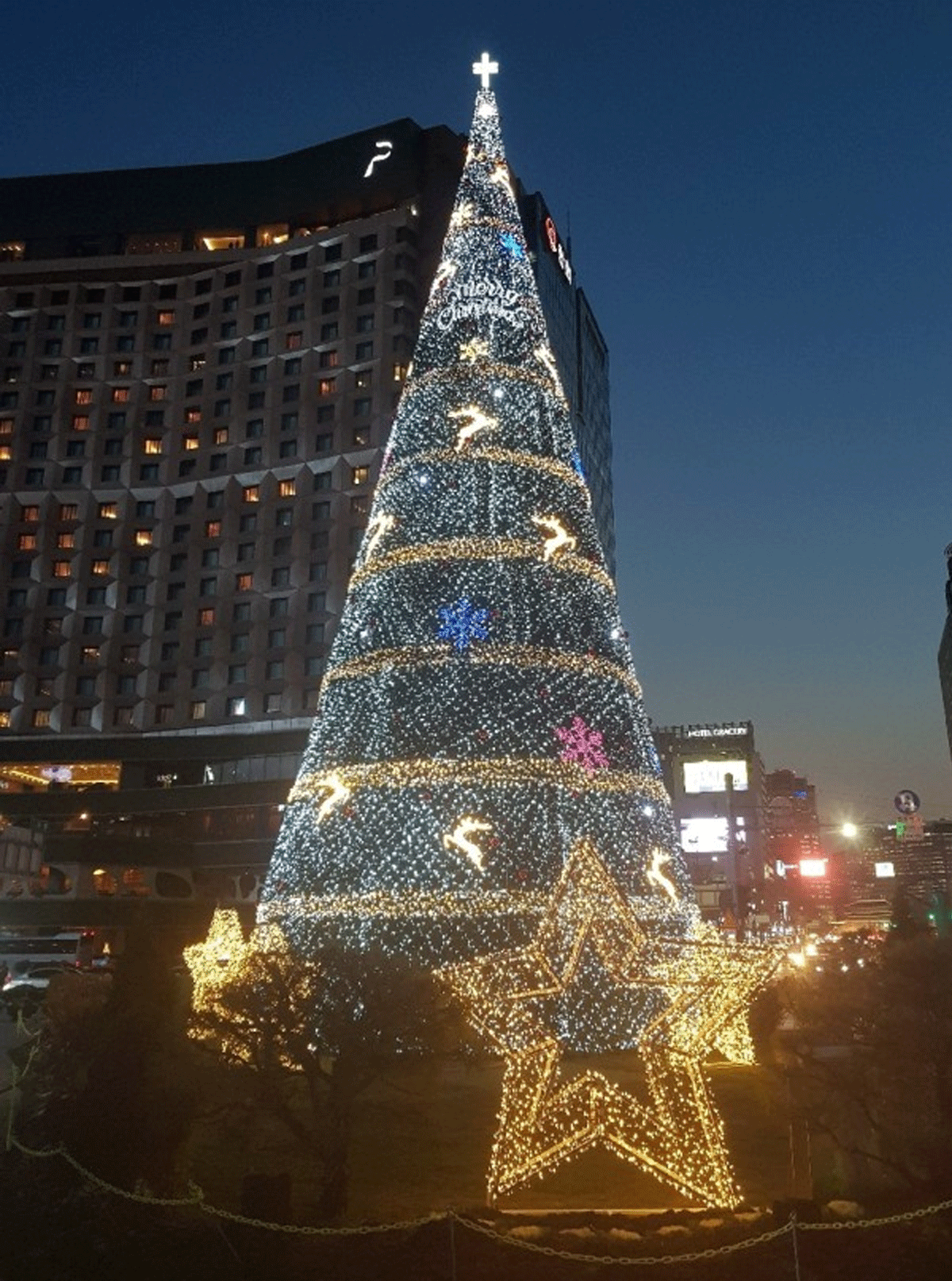 시청 서울광장 크리스마스 / 출처 : 인터넷 커뮤니티