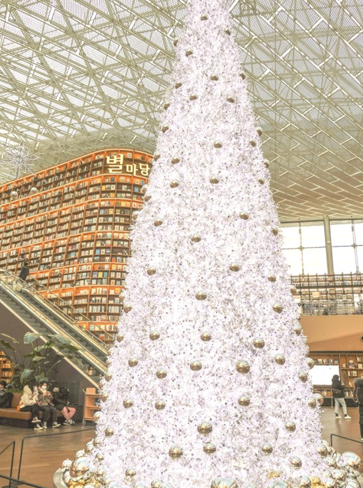 코엑스 별마당도서관 크리스마스 / 출처 : 인터넷 커뮤니티