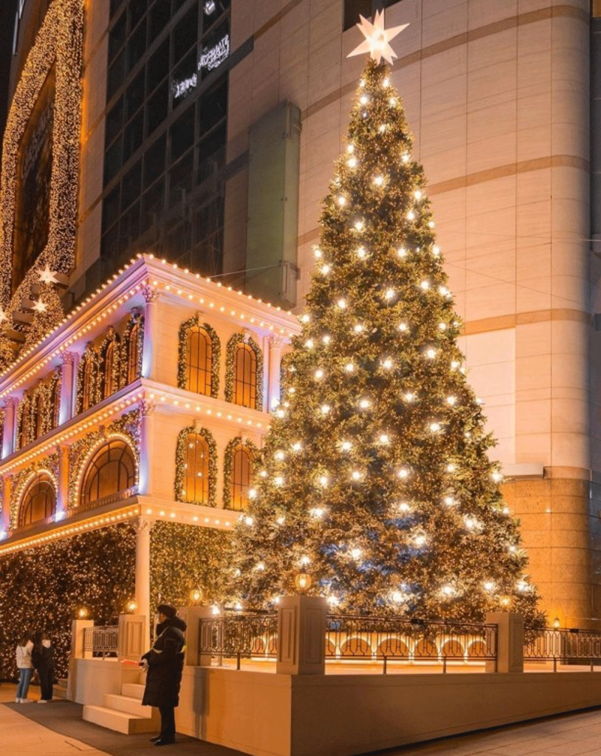 명동 롯데백화점 크리스마스 / 출처 : 인터넷 커뮤니티