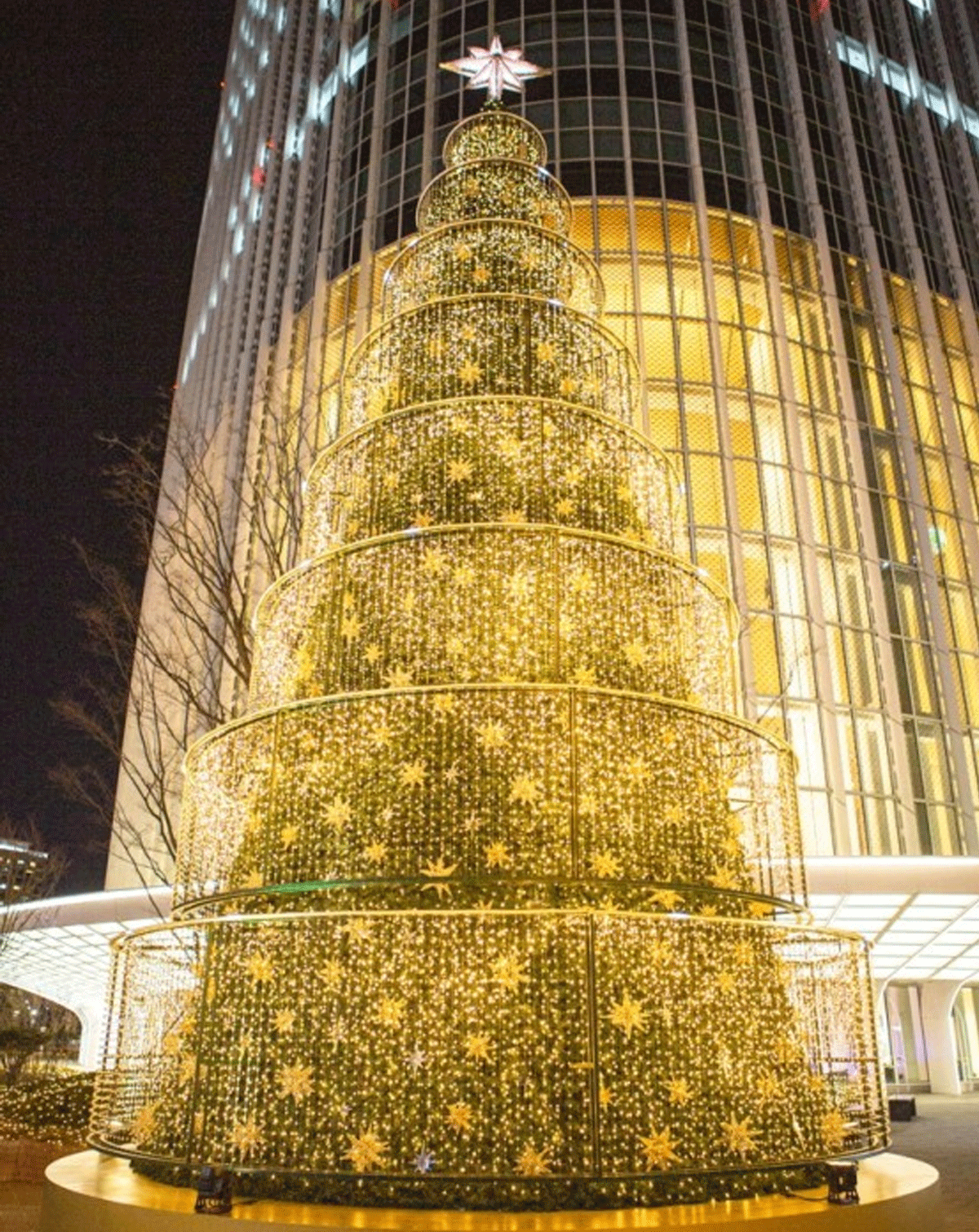 잠실 롯데월드타워 크리스마스 / 출처 : 인터넷 커뮤니티