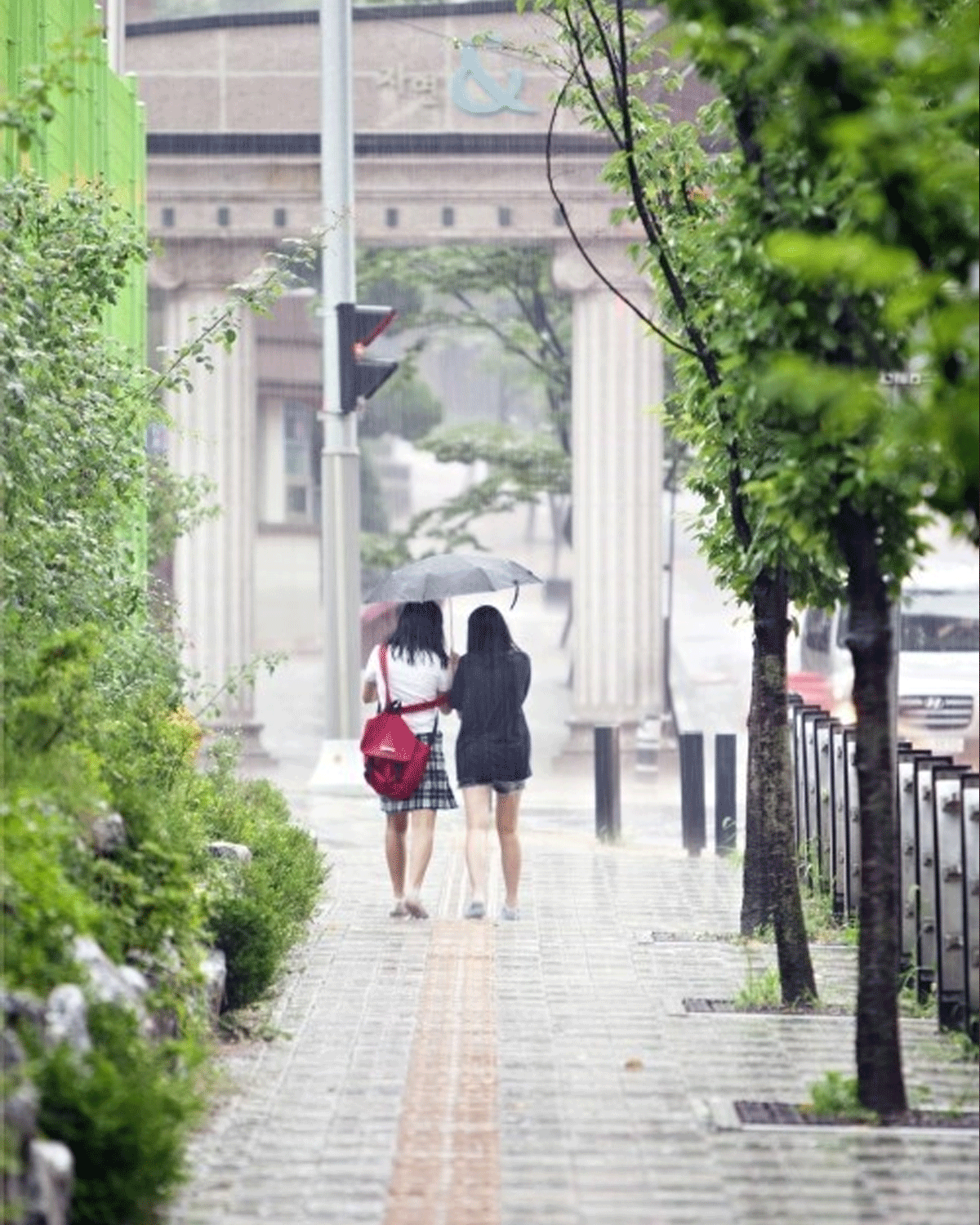 비오는 거리를 우산 쓰고 걸어가는 학생 / 출처 : 온라인 커뮤니티 비오는 거리를 우산 쓰고 걸어가는 학생 / 출처 : 온라인 커뮤니티