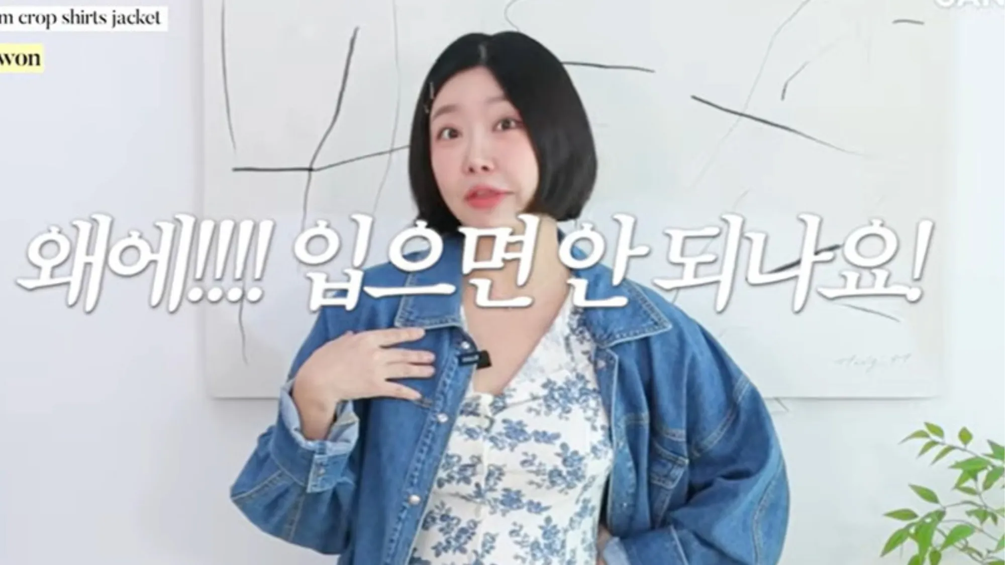 레이디 제인(유튜브 ‘레이디 제인’ 캡처) 레이디 제인(유튜브 ‘레이디 제인’ 캡처)