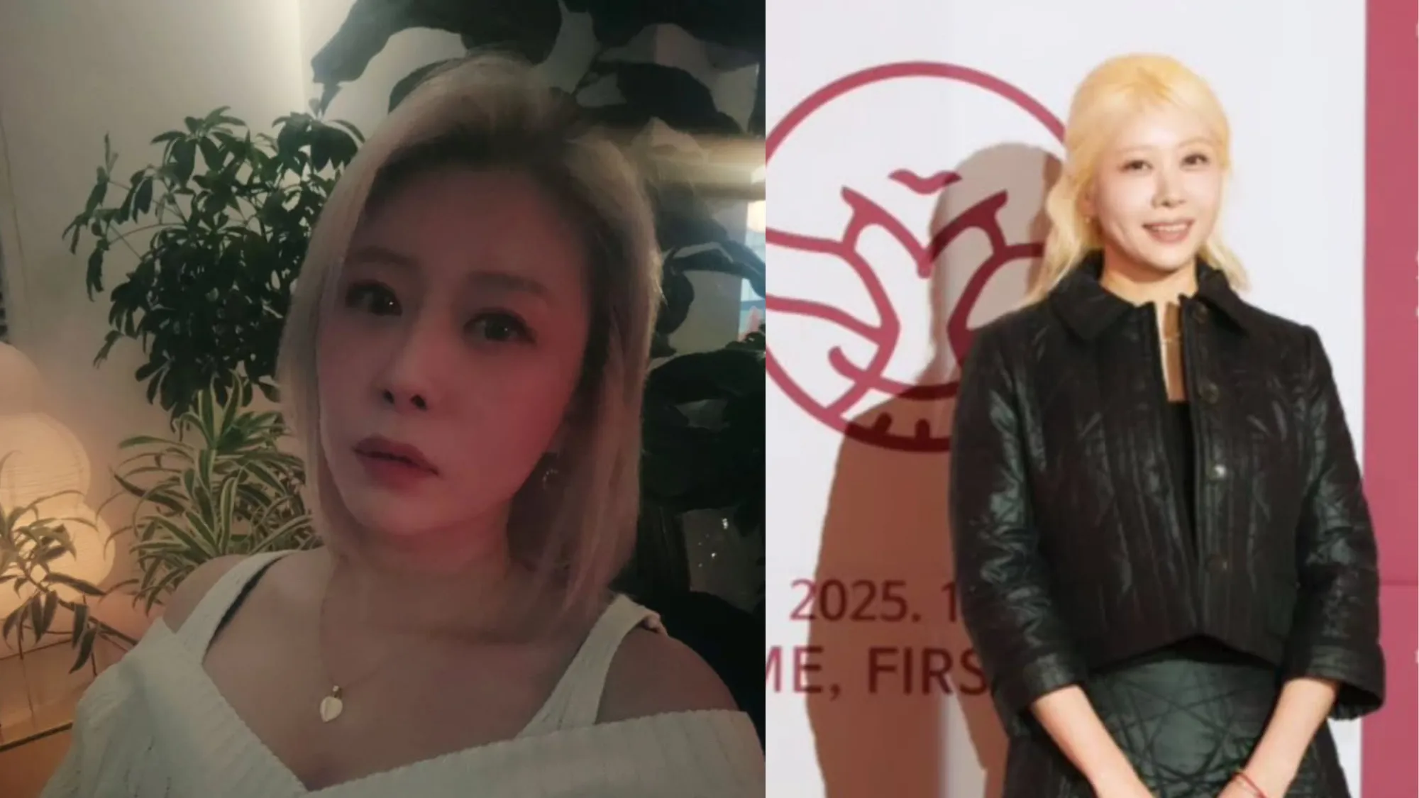 전세현(전세현 SNS)