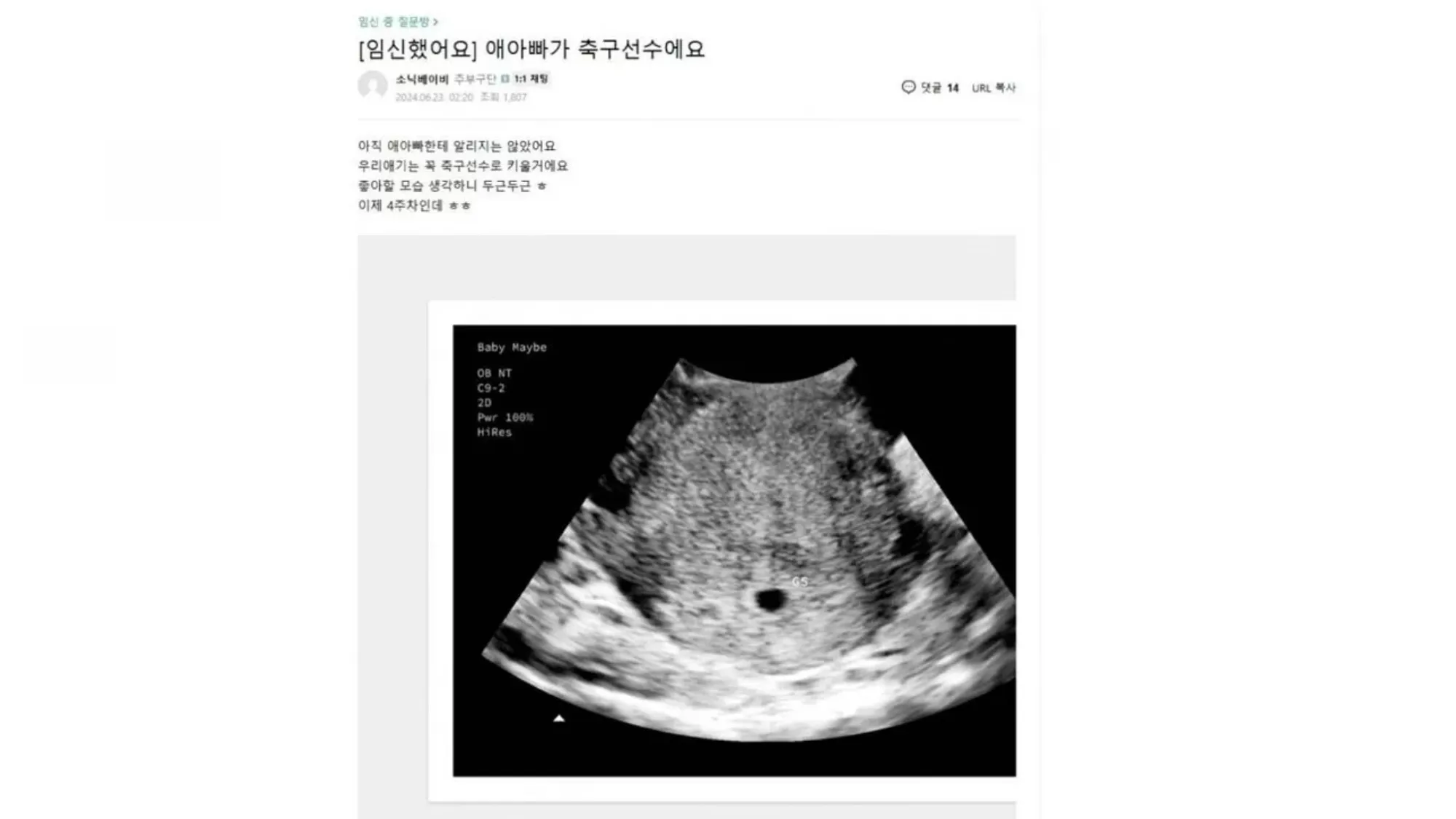 손흥민 협박녀 양씨 게시글로 추정되는 맘카페 게시물(온라인 커뮤니티 캡처) 손흥민 협박녀 양씨 게시글로 추정되는 맘카페 게시물(온라인 커뮤니티 캡처)
