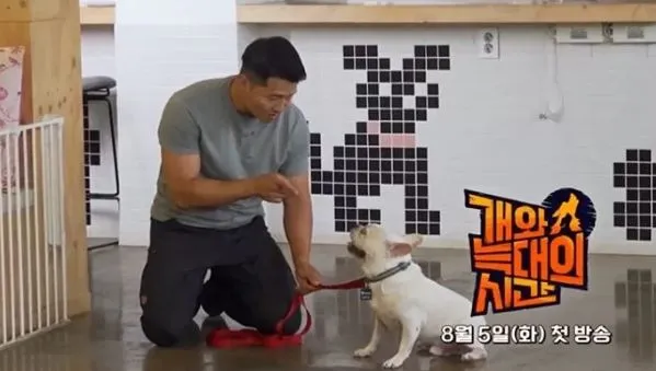 ‘개와 늑대의 시간’ 채널A 방송 ‘개와 늑대의 시간’ 채널A 방송