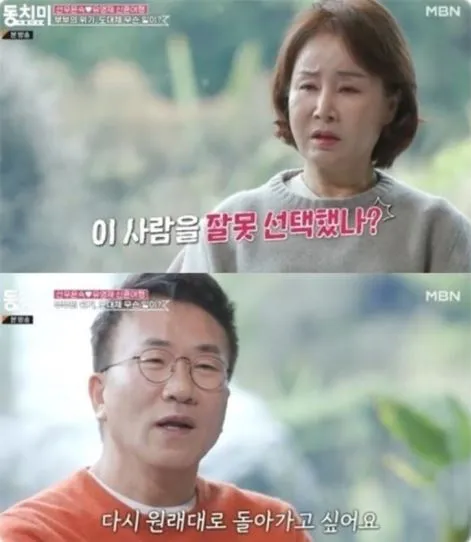 MBN 동치미 MBN 동치미