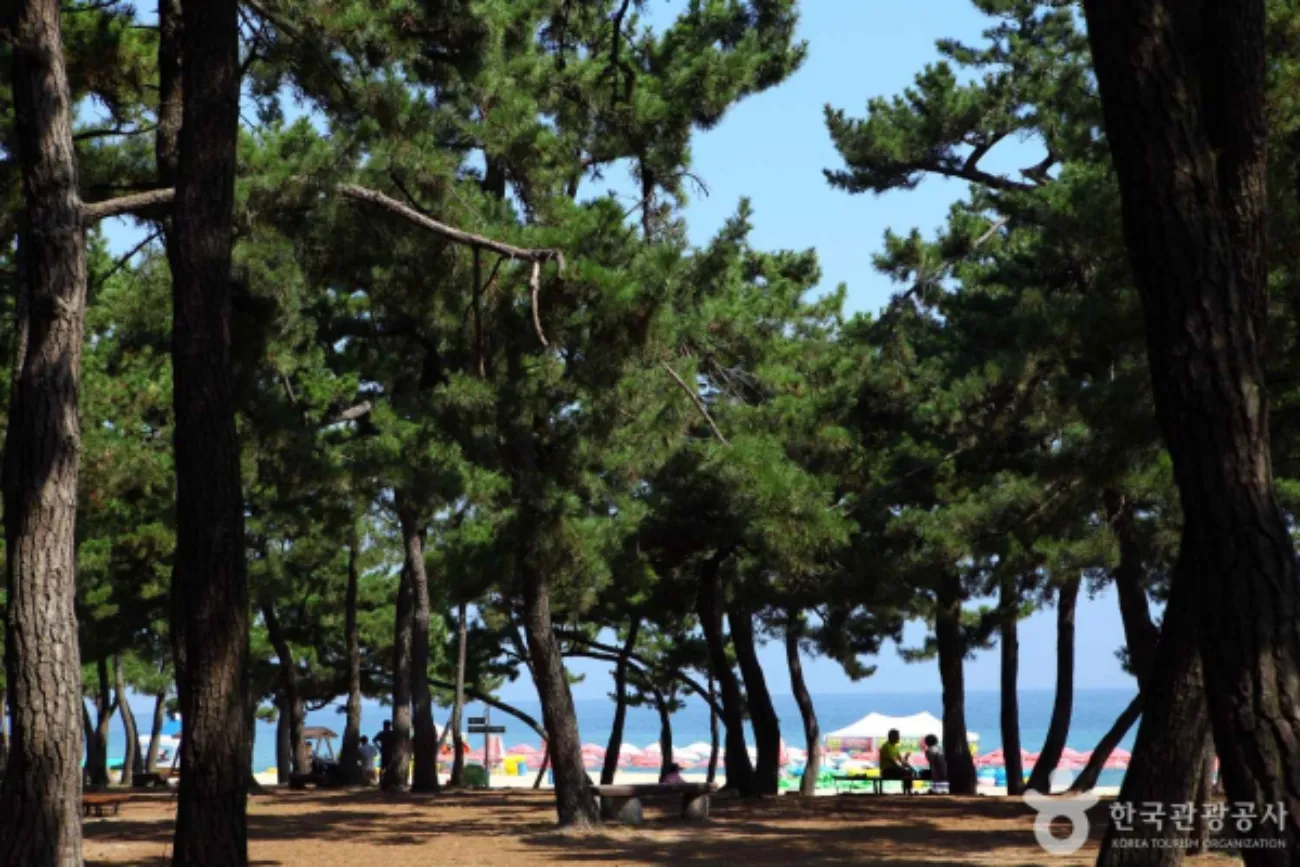 사진=한국관광공사 사진=한국관광공사