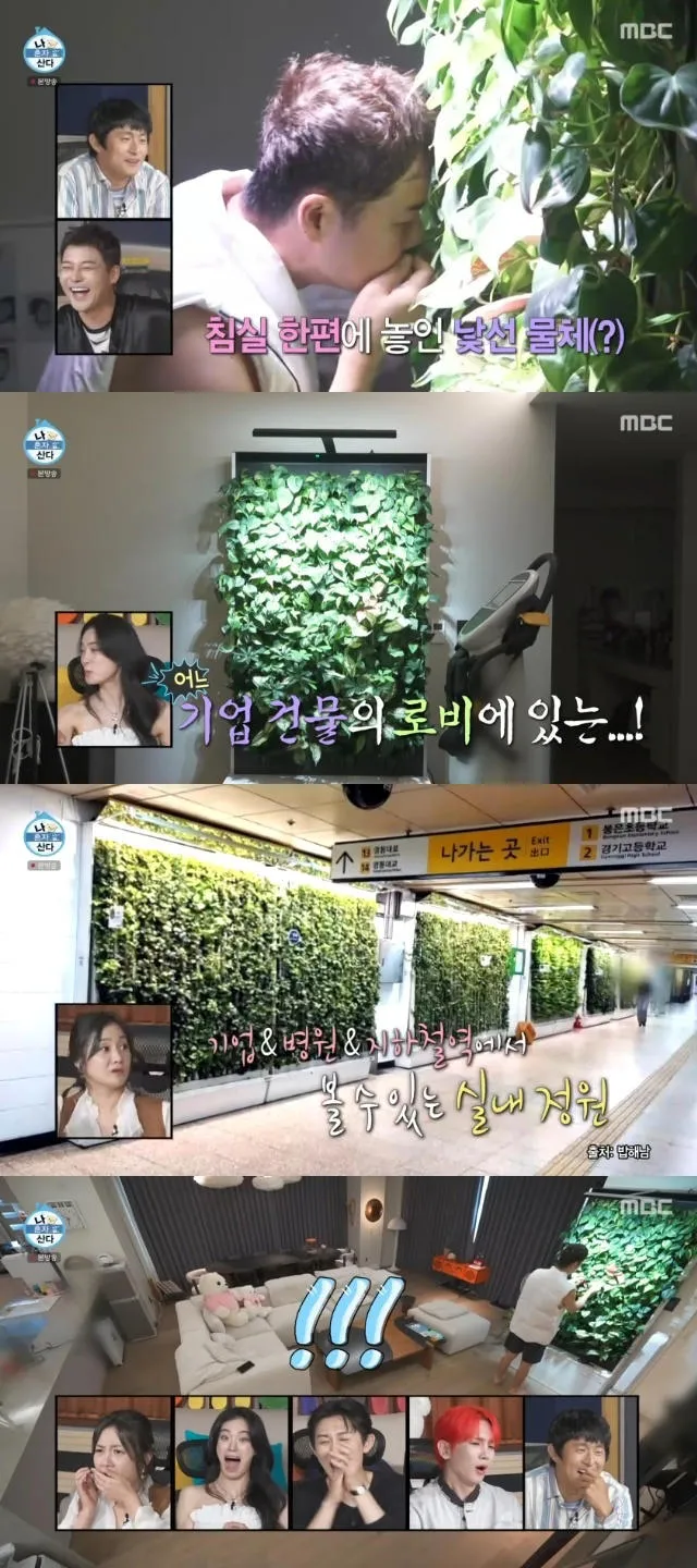 사진 = MBC ‘나 혼자 산다’ 화면 캡처 사진 = MBC ‘나 혼자 산다’ 화면 캡처