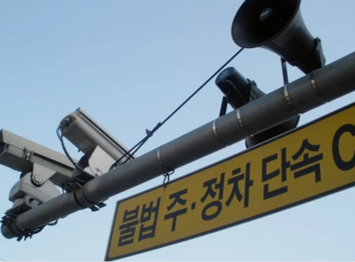 주정차 단속 카메라 주정차 단속 카메라