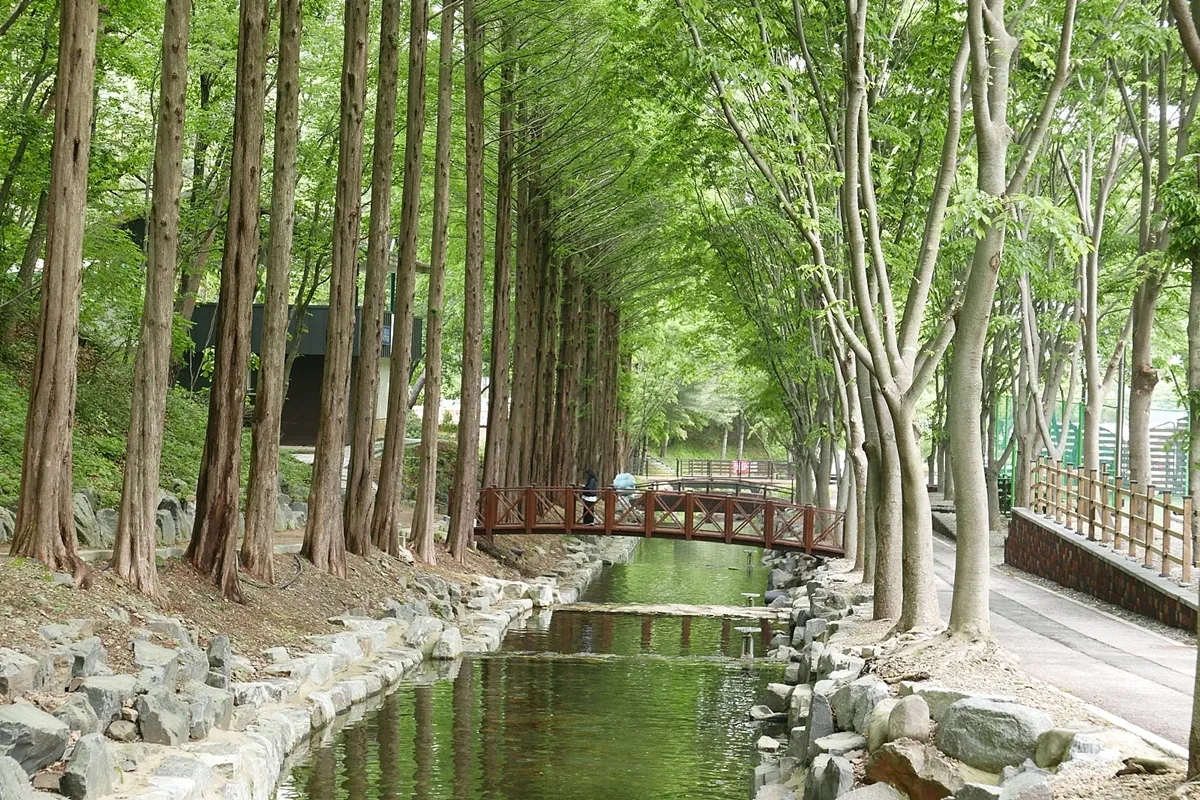 칠갑산자연휴양림 / 청양군 블로그 칠갑산자연휴양림 / 청양군 블로그