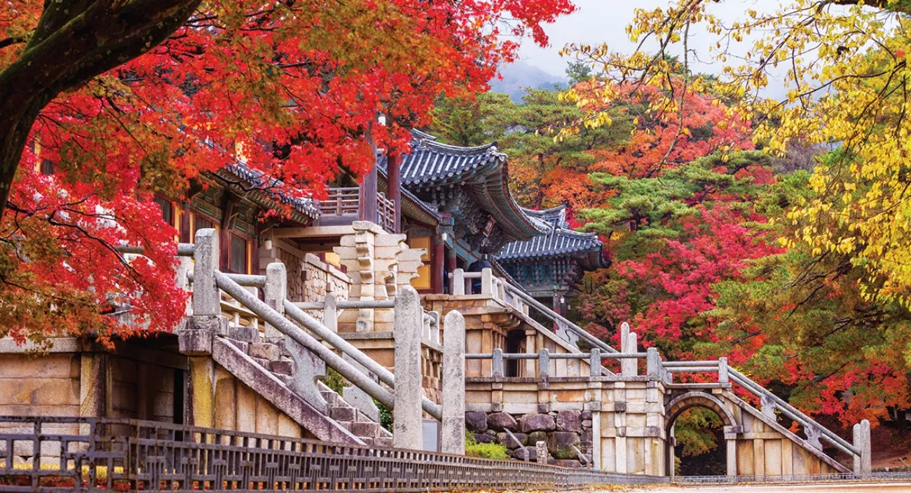 사진=경주시청 사진=경주시청