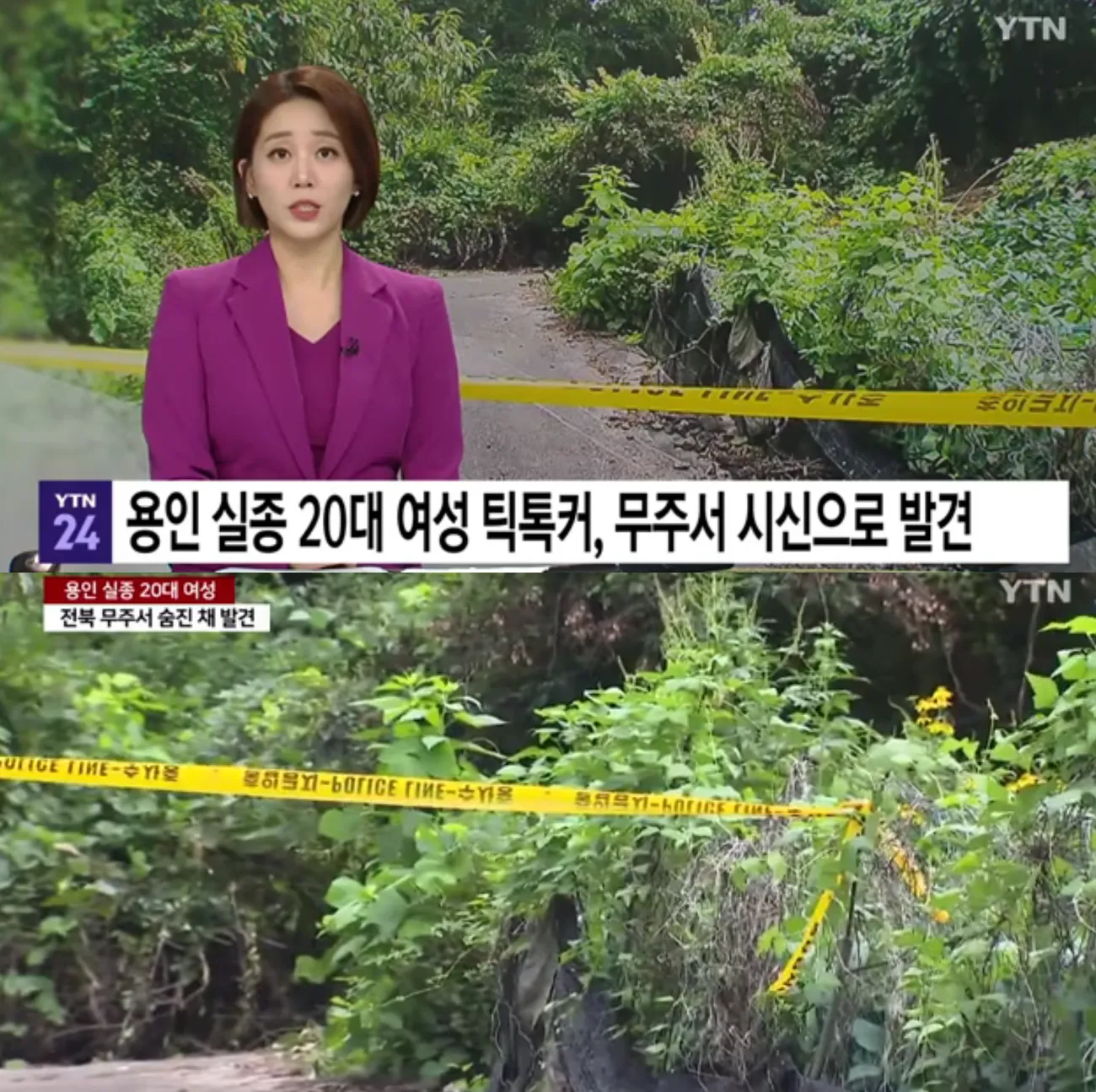 사진=뉴스캡처 사진=뉴스캡처