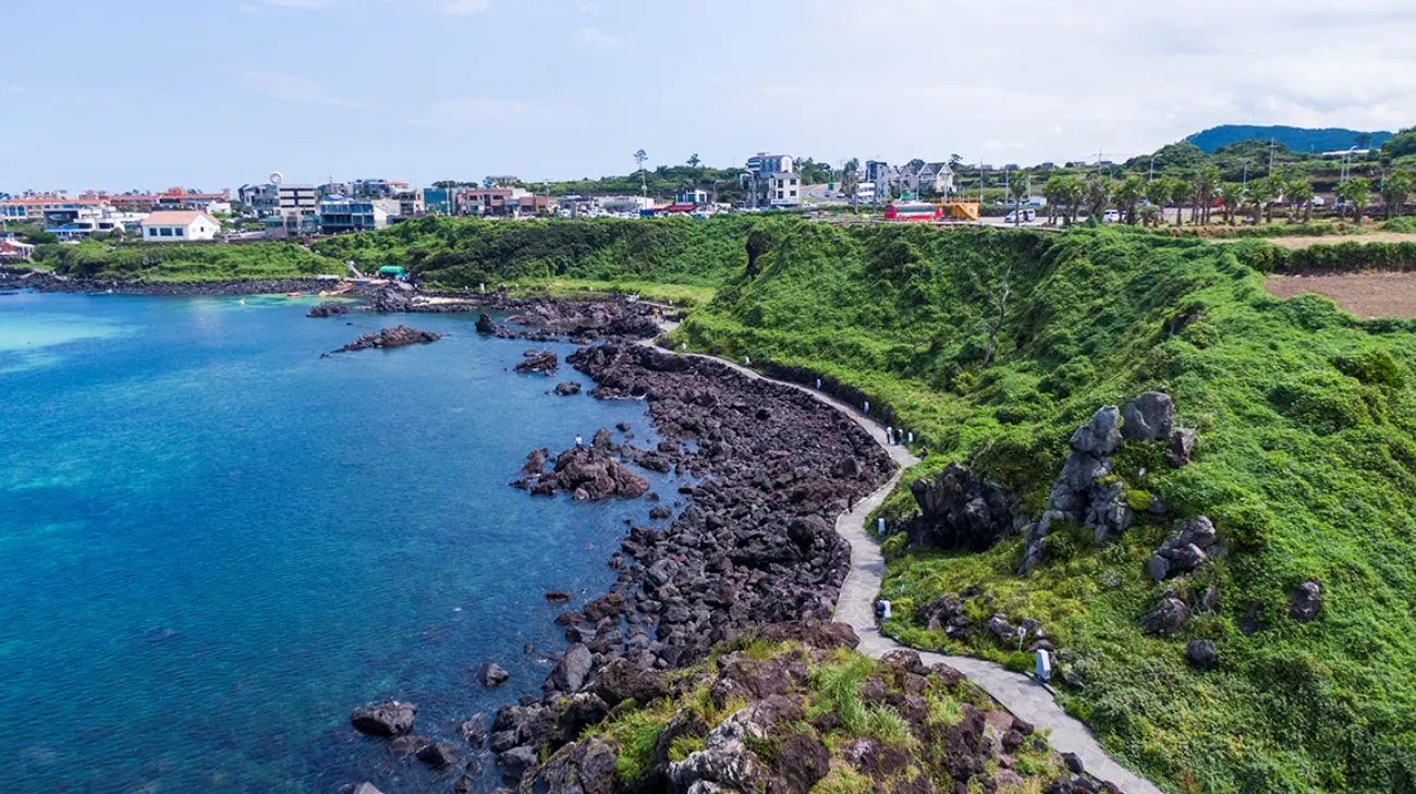 사진=제주도 제공 사진=제주도 제공