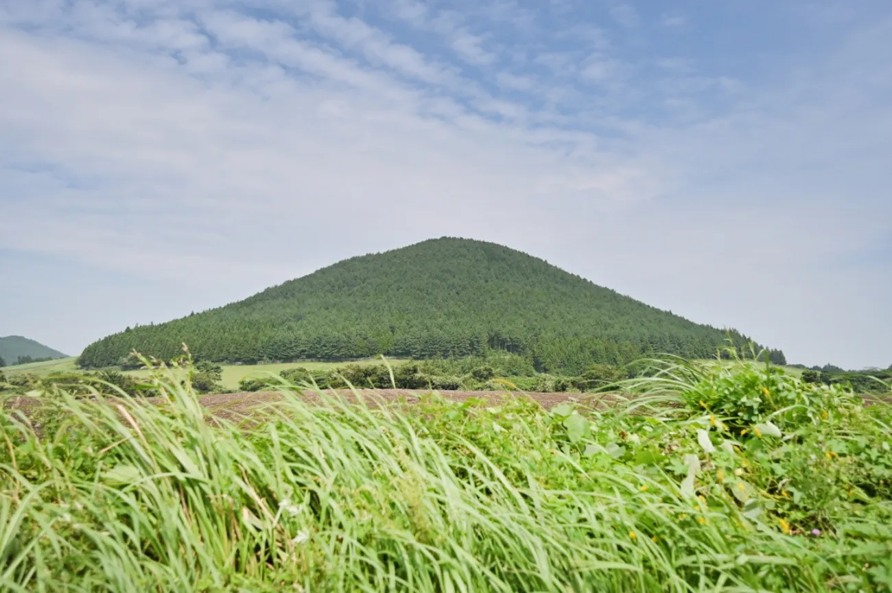 사진=제주도 오름 사진=제주도 오름