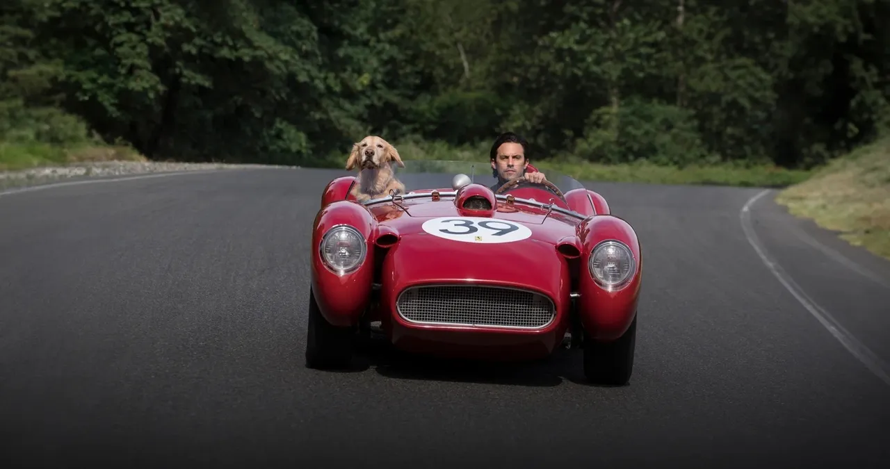레이싱 인 더 레인, The Art of Racing in the Rain (2019) / 넷플릭스 레이싱 인 더 레인, The Art of Racing in the Rain (2019) / 넷플릭스