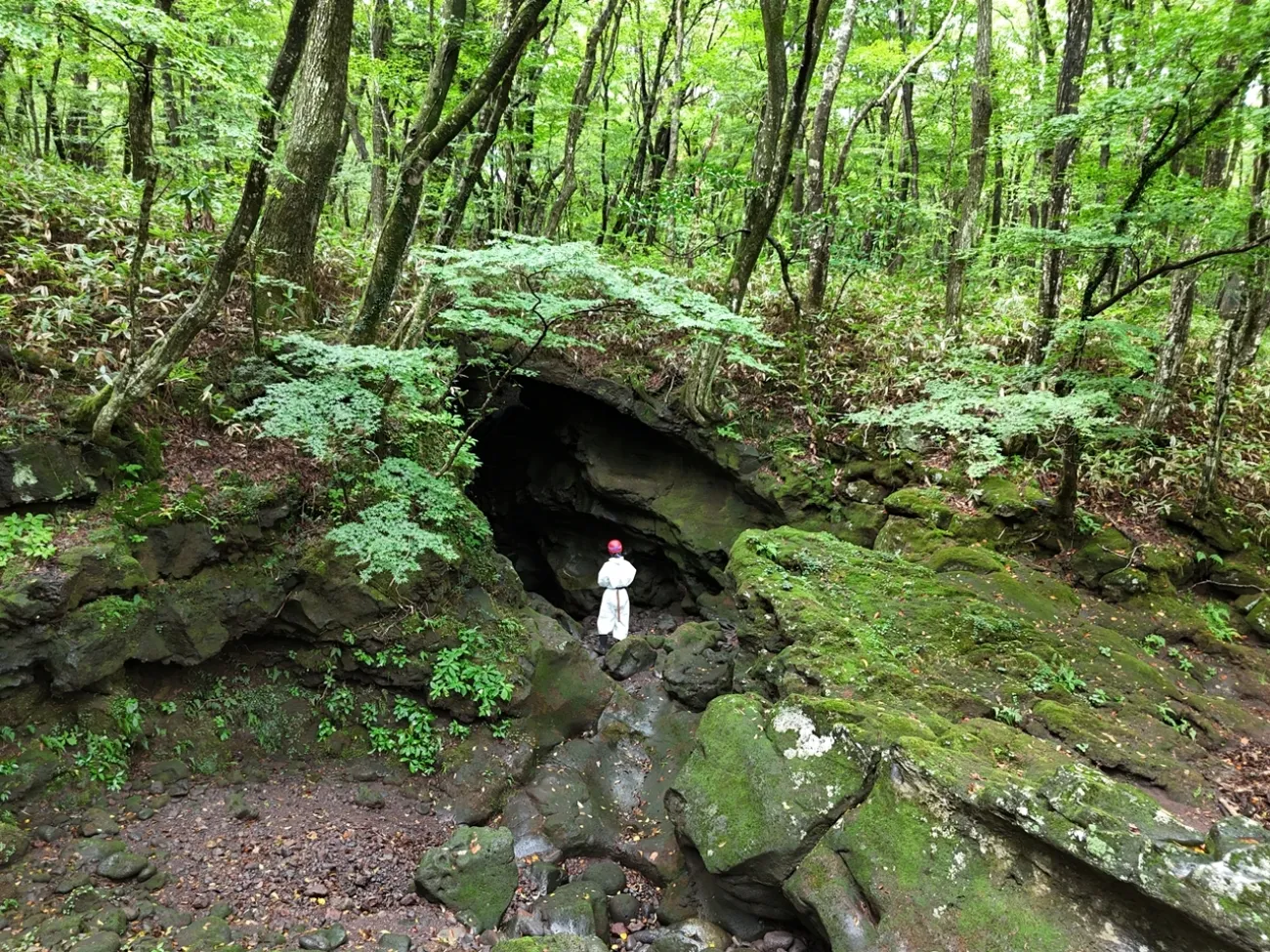 사진=제주도 사진=제주도