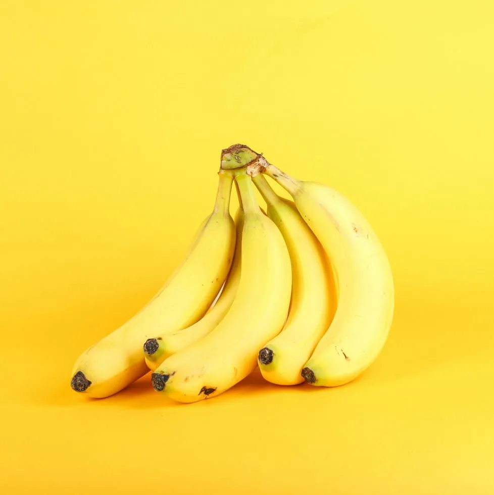 사진 = unsplash.com 사진 = unsplash.com