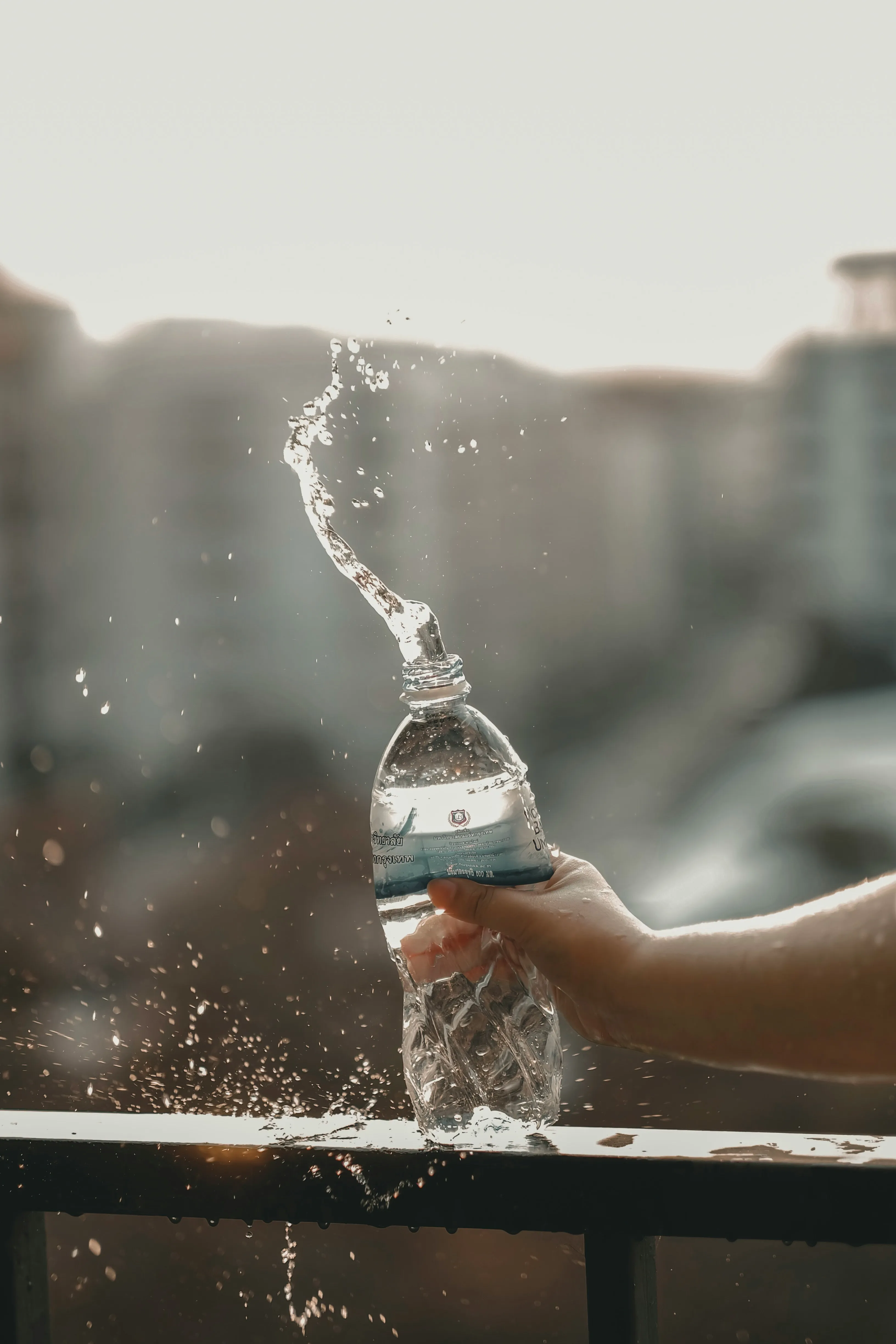 사진 = unsplash.com 사진 = unsplash.com