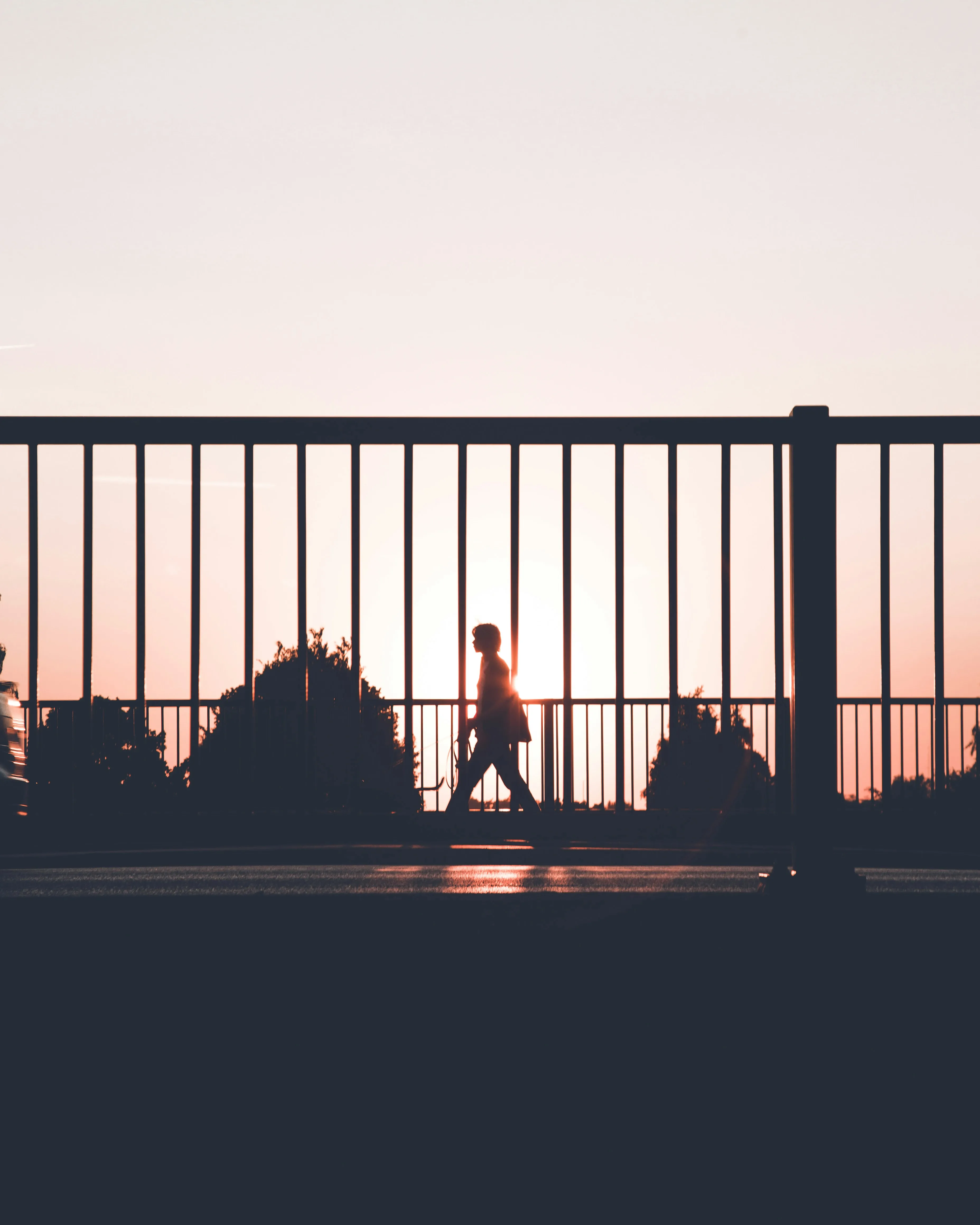 사진 = unsplash.com 사진 = unsplash.com