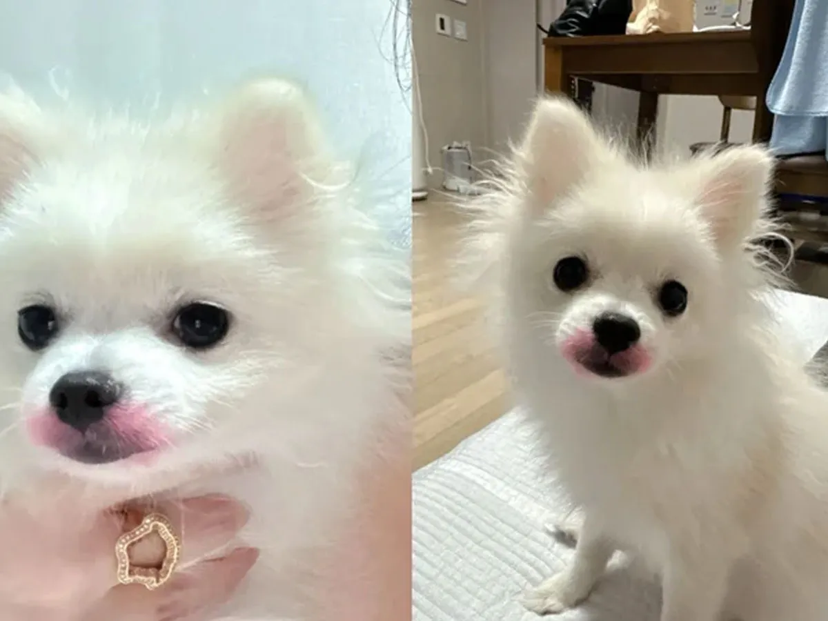박봄 / 출처 : 인스타그램 박봄 / 출처 : 인스타그램