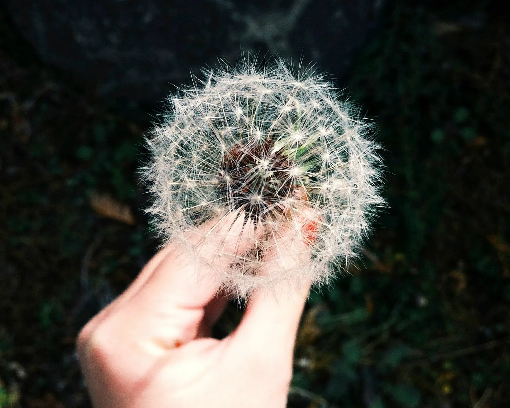 사진 = unsplash.com 사진 = unsplash.com