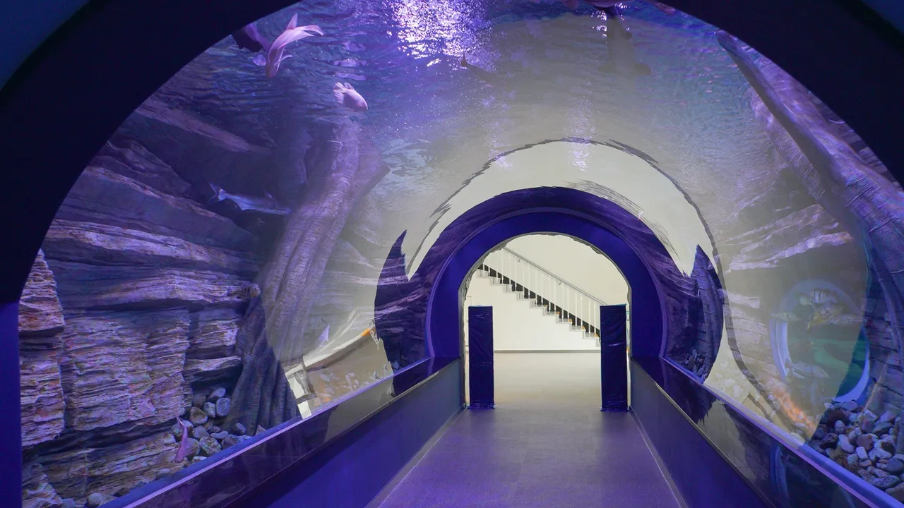 충주 아쿠아리움 수조터널 / 충주시 블로그 충주 아쿠아리움 수조터널 / 충주시 블로그