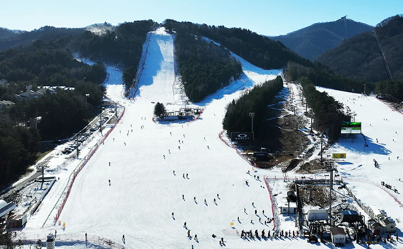 사진=모나 용평 사진=모나 용평