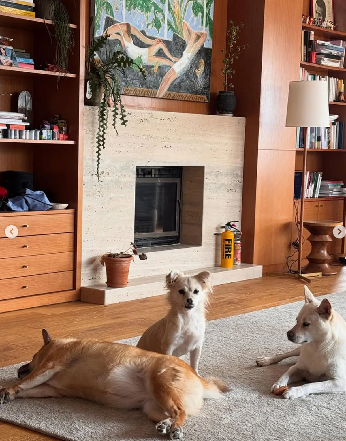 이효리, 이상순 반려견 / 출처 : 인스타그램