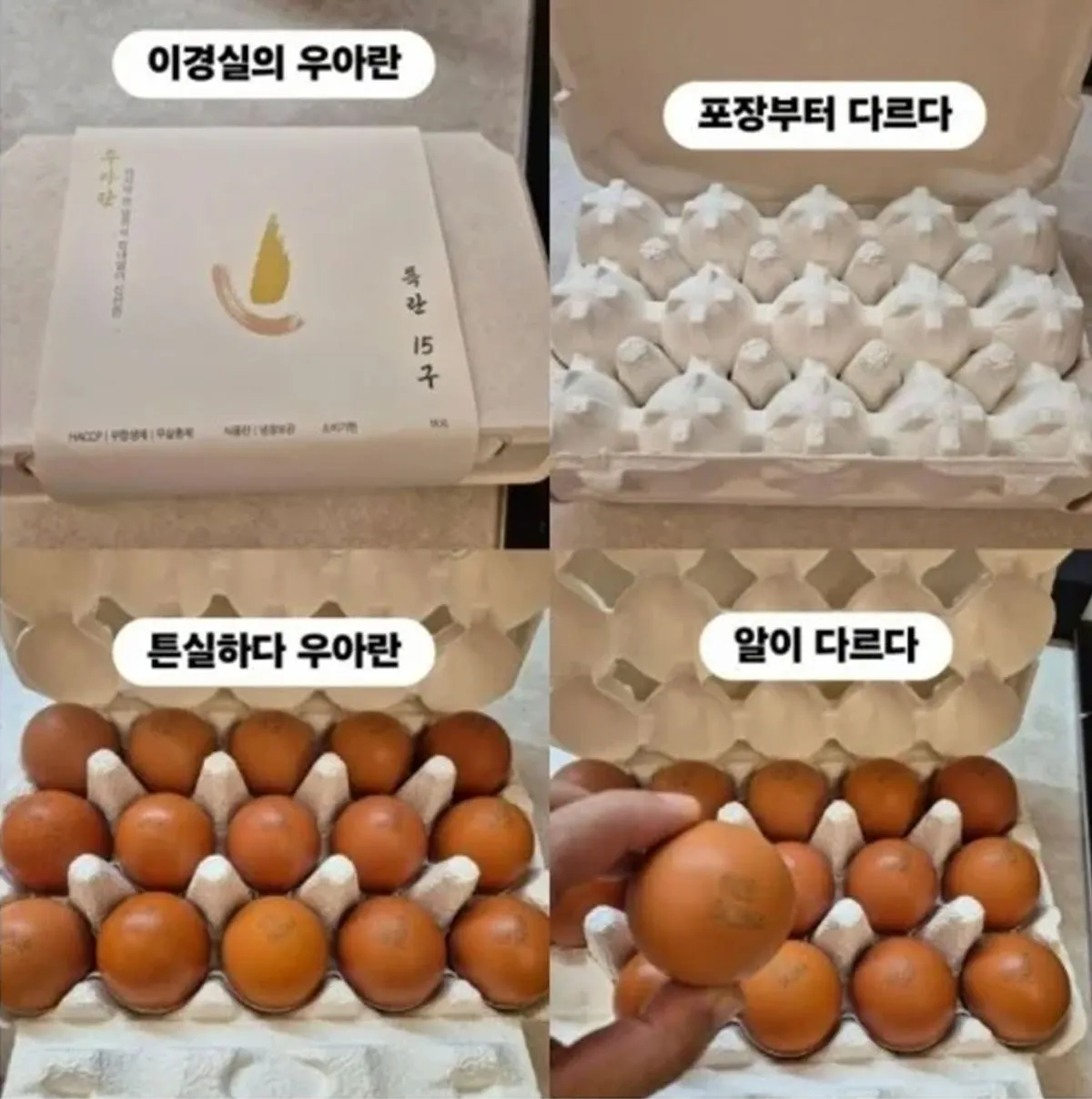 이경실 / 출처 : 온라인 커뮤니티