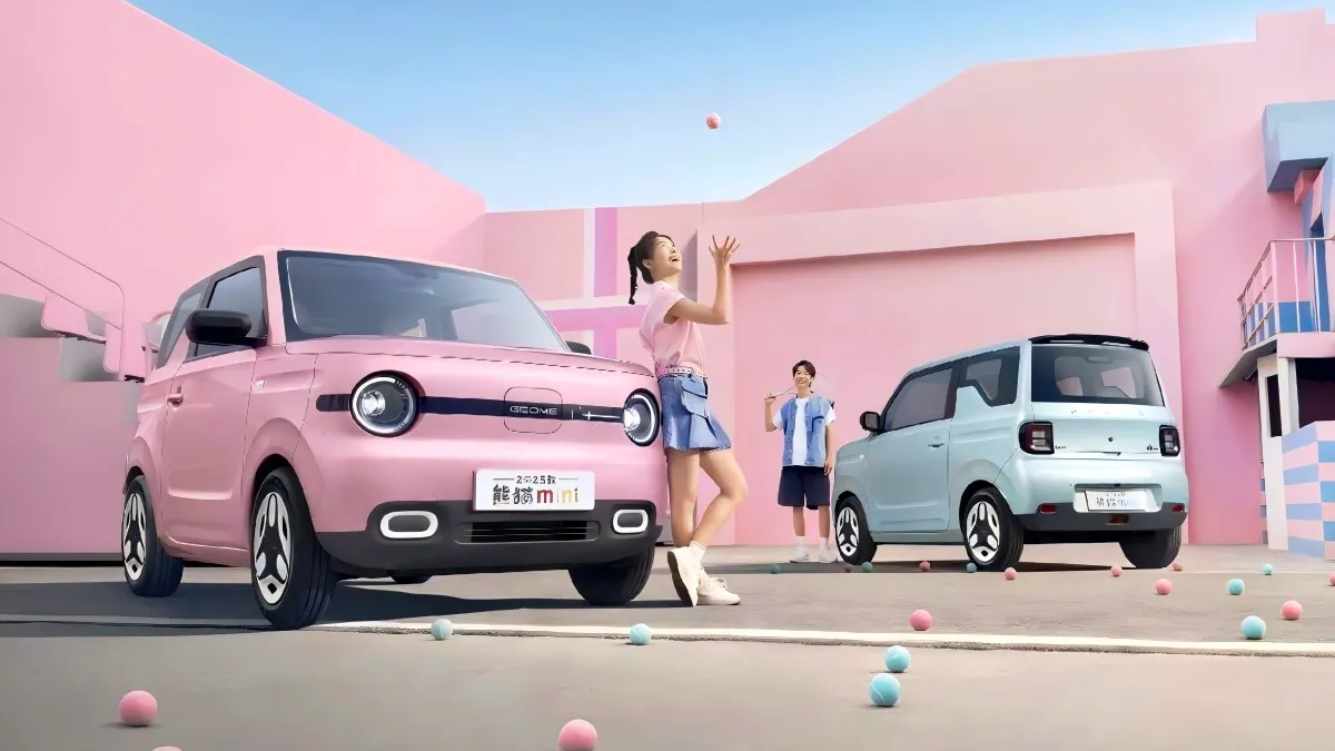 판다 미니 / 지리