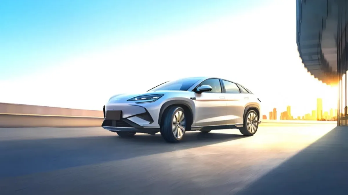 씨라이언7/사진=BYD