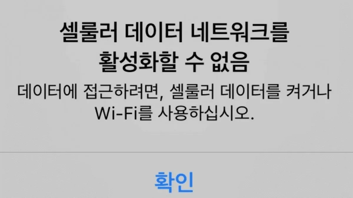 셀룰러 네트워크 오류 / 사진=오토카뉴스DB