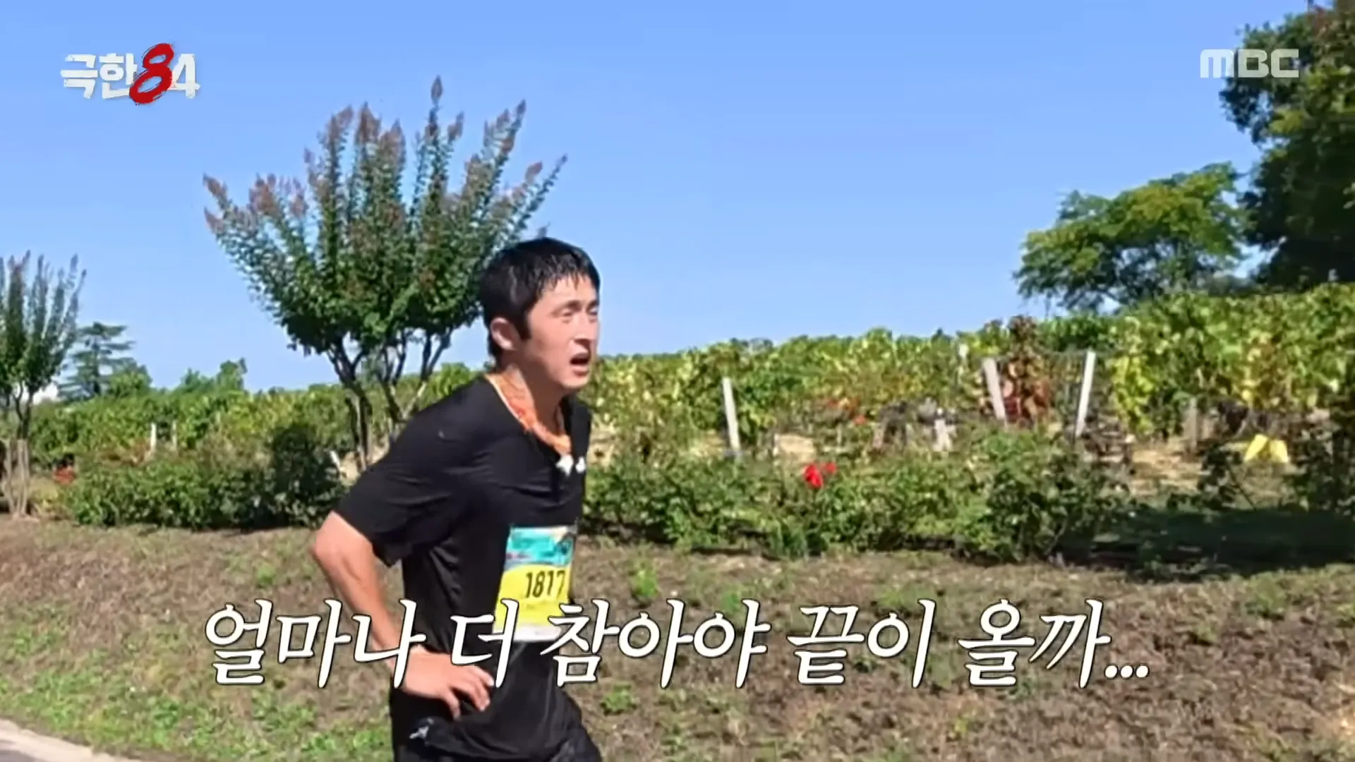 ‘극한84’ 프랑스 메독 마라톤 편 중 한 장면. MBC