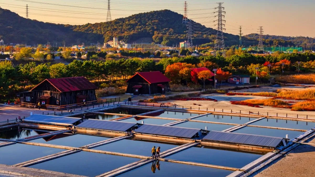 소래습지생태공원 염전 / 사진=인천투어