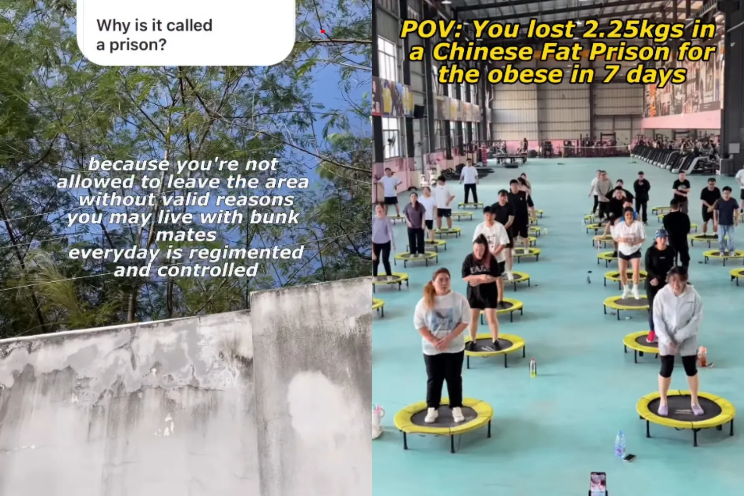 사진=인스타그램(@eggeats) 캡처